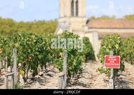 Margaux nel Médoc, il vigneto più famoso del mondo. Vite, vigneto, uva, vino rosso e turismo. Vigneti e vigneti di Bordeaux. Marg Foto Stock