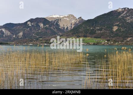 Ci siamo fermati a caso per ammirare la vista panoramica delle canne sulle acque acquamarine del lago atter (mi dispiace, non ricordo esattamente dove) vicino a Salisburgo, Austria Foto Stock