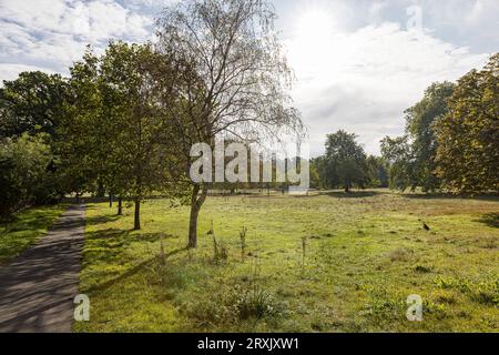 Fotografia della zona locale di Catford Foto Stock