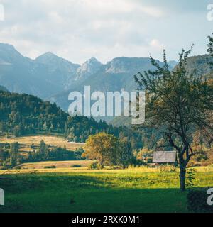 Valle di Bohinj sotto le Alpi Giulie nel parco nazionale del Triglav in Slovenia la mattina d'estate Foto Stock