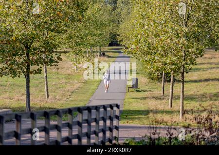 Fotografia della zona locale di Catford Foto Stock