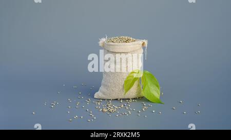 Miglio o bajra in borsa di iuta con cucchiaio di legno isolato su sfondo grigio. Glaucum da Pennisetum organico in un sacco di rapa. Integratore alimentare sano concep Foto Stock