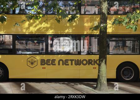 Manchester Inghilterra Regno Unito autobus Manchester Bee Network con nuova livrea parcheggiata il primo giorno lavorativo della settimana dai primi passi della rinazionalizzazione della rete nella Greater Manchester. Il sindaco di Manchester, Andy Burnham, e' stato la persona chiave per far approvare questo piano. Il direttore del programma di franchising Bus è Anne Marie Purcell le frasi di cattura sono “Say yellow to the Bee Network” 25 settembre 2023 ©Ged Noonan/Alamy Foto Stock