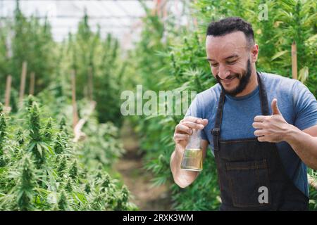 Un contadino tiene una bottiglia di vetro e sta ispezionando la marijuana. Per ricercare cannabis medica alternativa, canapa organica, erbe, cannabis, olio di canapa, cbd, pha Foto Stock