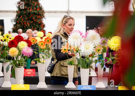 Persone che ammirano i fiori al Padiglione Harvest al Malvern Autumn Show. Il Malvern Autumn Show di tre giorni presso il Three Counties Showground, Malvern, Worcestershire, Inghilterra, Regno Unito. Foto Stock