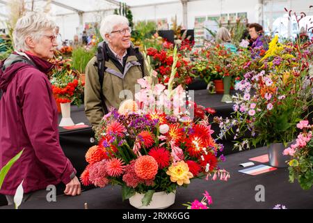 Persone che ammirano i fiori al Padiglione Harvest al Malvern Autumn Show. Il Malvern Autumn Show di tre giorni presso il Three Counties Showground, Malvern, Worcestershire, Inghilterra, Regno Unito. Foto Stock