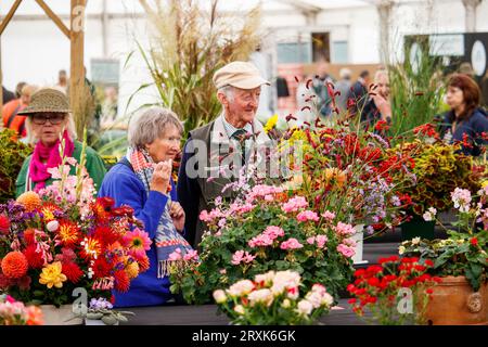 Persone che ammirano i fiori al Padiglione Harvest al Malvern Autumn Show. Il Malvern Autumn Show di tre giorni presso il Three Counties Showground, Malvern, Worcestershire, Inghilterra, Regno Unito. Foto Stock