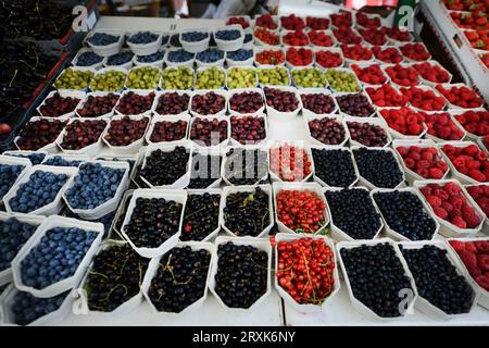 Un mercato di prodotti freschi al Gustav Adolfs torg, nella storica città vecchia di Malmö, Svezia. Foto Stock