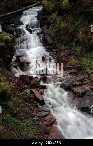 Parte inferiore di Nant Yr Eira vicino a Storey Arms. Questa sezione è al di sotto del livello della strada da Penderyn, ma può essere visto dal Taff Trail. Foto Stock