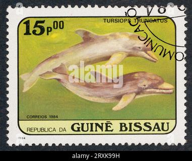 Il comune delfino tursiopo o delfino tursiopo Atlantico (Tursiops truncatus. Francobollo emesso in Guinea-Bissau nel 1984. Foto Stock