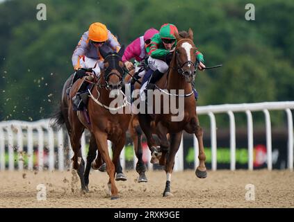 Foto del file datata 29-06-2023 di Lattam (a destra), che può mettere una sfortunata corsa recente alle sue spalle nella William Hill handicap a Goodwood. Data di emissione: Martedì 26 settembre 2023. Foto Stock