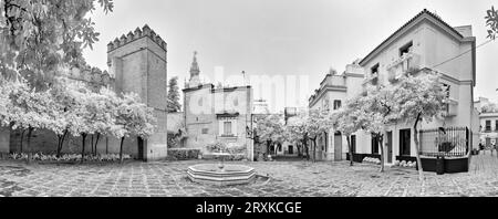 Vista a infrarossi di Plaza de la Alianza, Siviglia, Andalusia, Spagna Foto Stock