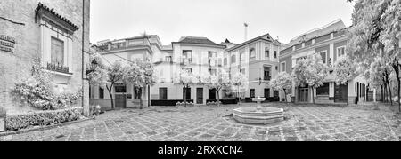 Vista a infrarossi di Plaza de la Alianza, Siviglia, Andalusia, Spagna Foto Stock