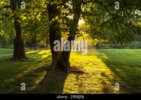 Parkanlage Clara-Zetkin-Park a Lipsia, Sachsen, Deutschland | Clara-Zetkin-Park a Lipsia, Sassonia, Germania Foto Stock