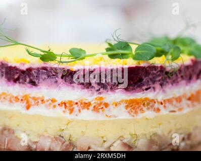 insalata tradizionale con aringhe, maionese, uova, barbabietole bollite e carote, insalata tradizionale con aringhe salate decorata per le vacanze Foto Stock