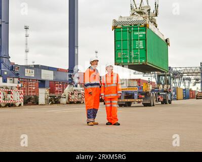 I lavoratori portuali mediante gru abbassando il contenitore di carico sul carrello Foto Stock