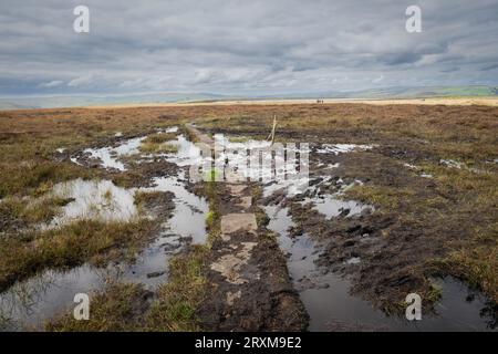 Dirigiti verso la diga dei gaddings sulla Pennine Way sopra Littleborough Foto Stock