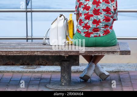 Vista posteriore della donna seduta sulla panchina che guarda al mare Foto Stock