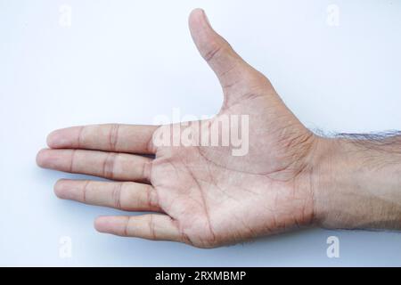 Mano dell'uomo con il pollice in alto isolato su sfondo verde naturale. Segno pollice su. Approvazione del gesto. Isolato su sfondo verde naturale. I gesti della mano Foto Stock