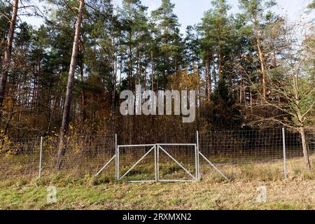 recinzioni metalliche nella foresta per proteggere il territorio dagli animali selvatici, recinzioni metalliche ai margini della foresta per proteggere la strada dagli animali selvatici Foto Stock