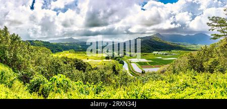 Vista panoramica della Valle di Hanalei in estate, Hawaii, USA Foto Stock