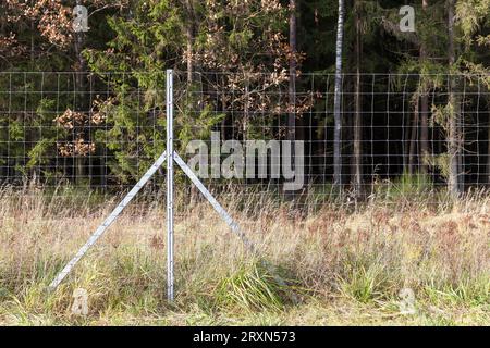 recinzioni metalliche nella foresta per proteggere il territorio dagli animali selvatici, recinzioni metalliche ai margini della foresta per proteggere la strada dagli animali selvatici Foto Stock