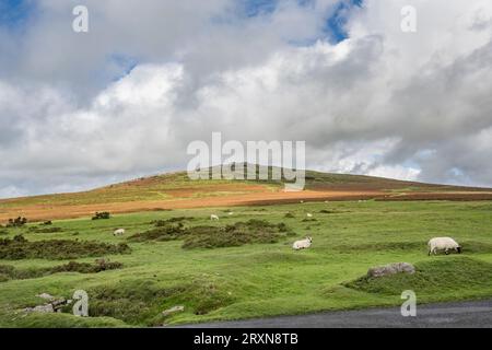 Vista sul parcheggio di Cox Tor a Dartmoor Devon, Inghilterra meridionale Foto Stock