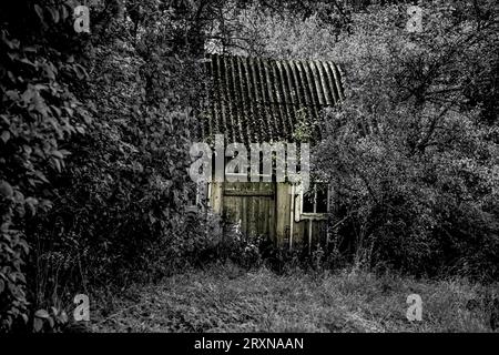 Casa abbandonata in un ambiente selvaggio. Circondato da alberi e erba. Foto Stock