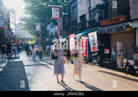 Due donne giapponesi sunit camminano lungo una strada secondaria ad Asakusa, Tokyo, Giappone Foto Stock