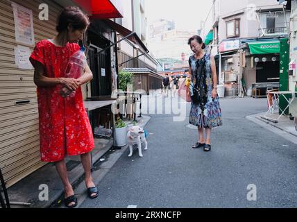 Due anziane donne giapponesi guardano un cane in una strada secondaria ad Asakusa, Tokyo, Giappone Foto Stock