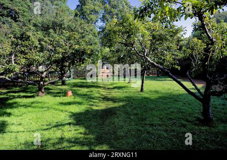 Il frutteto al Petersfield Physic Garden Foto Stock