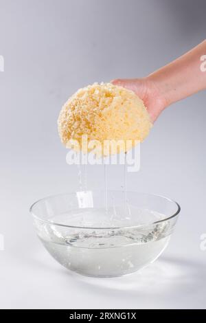 Fungo bianco fresco (Tremella fuciformis) su sfondo di bambù Foto Stock