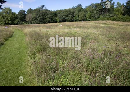 Persone che camminano tra prati di fiori selvatici nella casa padronale di Compton Verney vicino a Kineton, warwickshire, Regno Unito Foto Stock