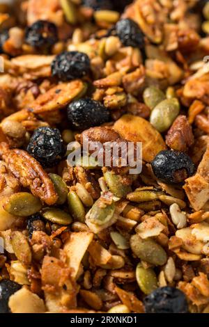 Salutari cereali fatti in casa per la colazione ai mirtilli e granola in una ciotola Foto Stock