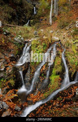 Torrente di montagna e cascata nella foresta autunnale, Fahler Wasserfall, Feldberg, Foresta Nera, Baden-Wuerttemberg, Germania Foto Stock