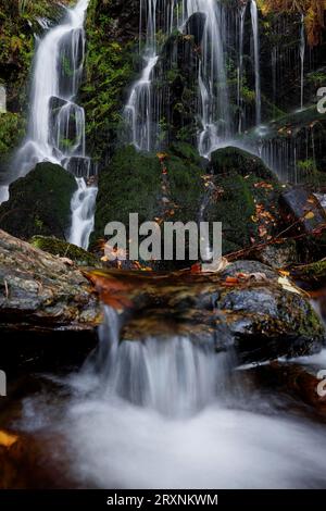 Torrente di montagna e cascata nella foresta autunnale, Fahler Wasserfall, Feldberg, Foresta Nera, Baden-Wuerttemberg, Germania Foto Stock