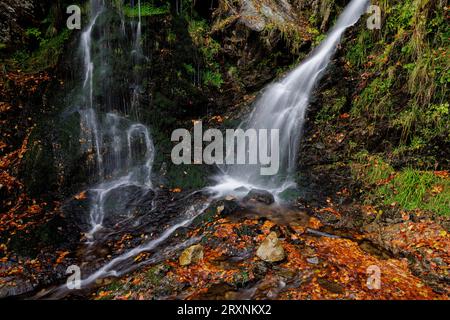 Torrente di montagna e cascata nella foresta autunnale, Fahler Wasserfall, Feldberg, Foresta Nera, Baden-Wuerttemberg, Germania Foto Stock