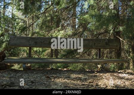 Banco molto basso al parco. Parco della Rimembranza, Torino, Italia Foto Stock