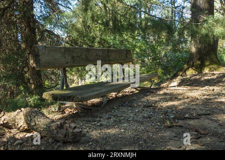 Banco molto basso al parco. Parco della Rimembranza, Torino, Italia Foto Stock