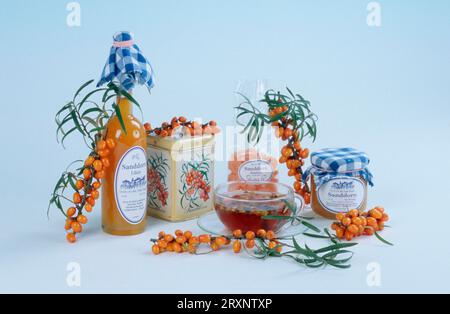 Spina dorsale, bacche, tazza di tè, marmellata, liquore e dolci, spina dorsale (Hippophae rhamnoides), bacche, tazza di tè, marmellata, liquore Foto Stock