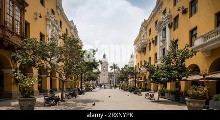 Alberi e panchine lungo la strada nel quartiere residenziale, Lima, provincia di Lima, Perù Foto Stock