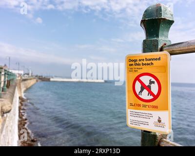I cani sono vietati su questa spiaggia a Penzance, in Cornovaglia, in Inghilterra. Foto Stock
