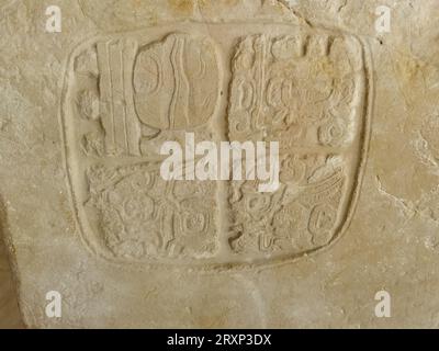 Pannello 4 dalla struttura A9 nel museo nella riserva archeologica di Xunantunich in Belize. Questo pannello era originariamente da una scala geroglifica all'interno Foto Stock