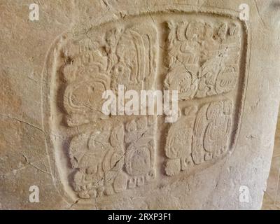 Pannello 3 dalla struttura A9 nel museo nella riserva archeologica di Xunantunich in Belize. Questo pannello era originariamente da una scala geroglifica all'interno Foto Stock
