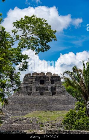 El Castillo, struttura 6, con palme di fronte nella riserva archeologica di Xunantunich in Belize. Foto Stock