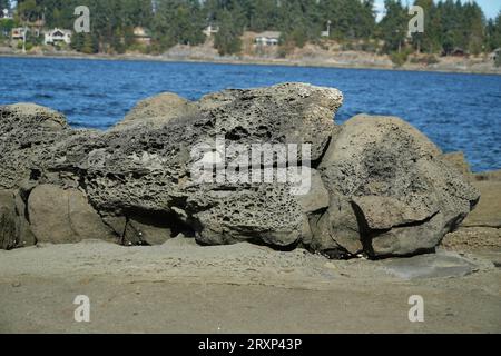 Roccia vulcanica sulla spiaggia Foto Stock