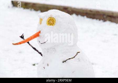 Un pupazzo di neve felice sulla neve a Vancouver, Canada. Ha un naso di carota, occhi fatti di fette di limone, bastoncini per le braccia e il suo sorriso Foto Stock