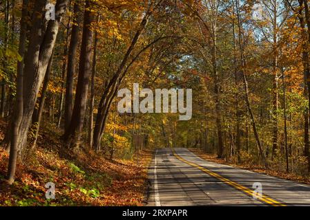Una strada di campagna attraversa un bosco dalle tinte autunnali nell'Ohio nord-orientale Foto Stock
