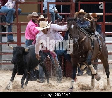 Upper Marlboro, Maryland, USA. 23 settembre 2023. TONY ASKA, 28 di Tulsa, OK, terzo da sinistra, durante l'introduzione del Bill Pickett Invitational Rodeo Championships allo Show Place Arena di Upper Marlboro, MD. Aska ha vinto il primo posto nel concorso di bulldogging (Credit Image: © Brian Branch Price/ZUMA Press Wire) SOLO PER USO EDITORIALE! Non per USO commerciale! Foto Stock