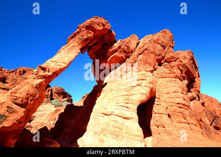 Elephant Rock, Valley of Fire State Park, Nevada. Foto Stock